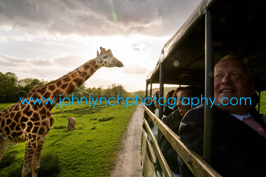 Port Lympne Zoo Wedding Photography