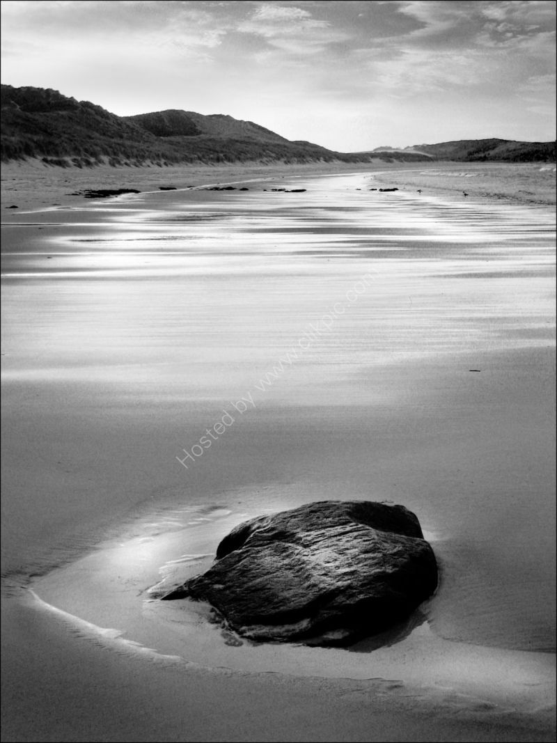 Exposed by the tide