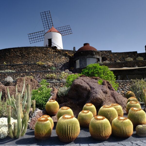 Cactus Garden, Lanzarote
