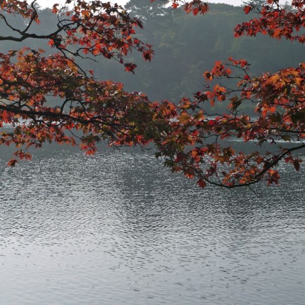 Lakeview, Strangford, Northern Ireland