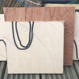 Incidental Sculptures