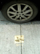 Drogheda - paved with ....(detail)