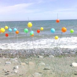 Random acts - Dunany, county Louth