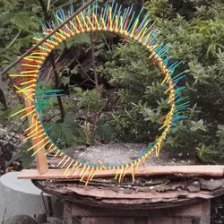 Rasta fern flower