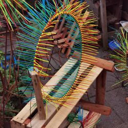 Rasta fern flower