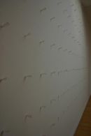 field - paperpencilpoem