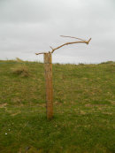 fencepostshow - Baltray, Drogheda, Co. Louth