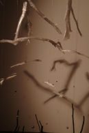Flow - detail