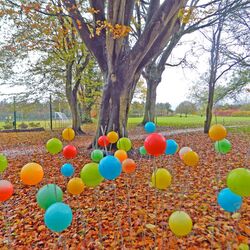 Park 7, random acts, AAEX November 2019 dundalk