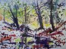 SOLD. Watercolour,Moss Valley.