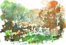 SOLD. Longshaw Esate,Derbyshire.