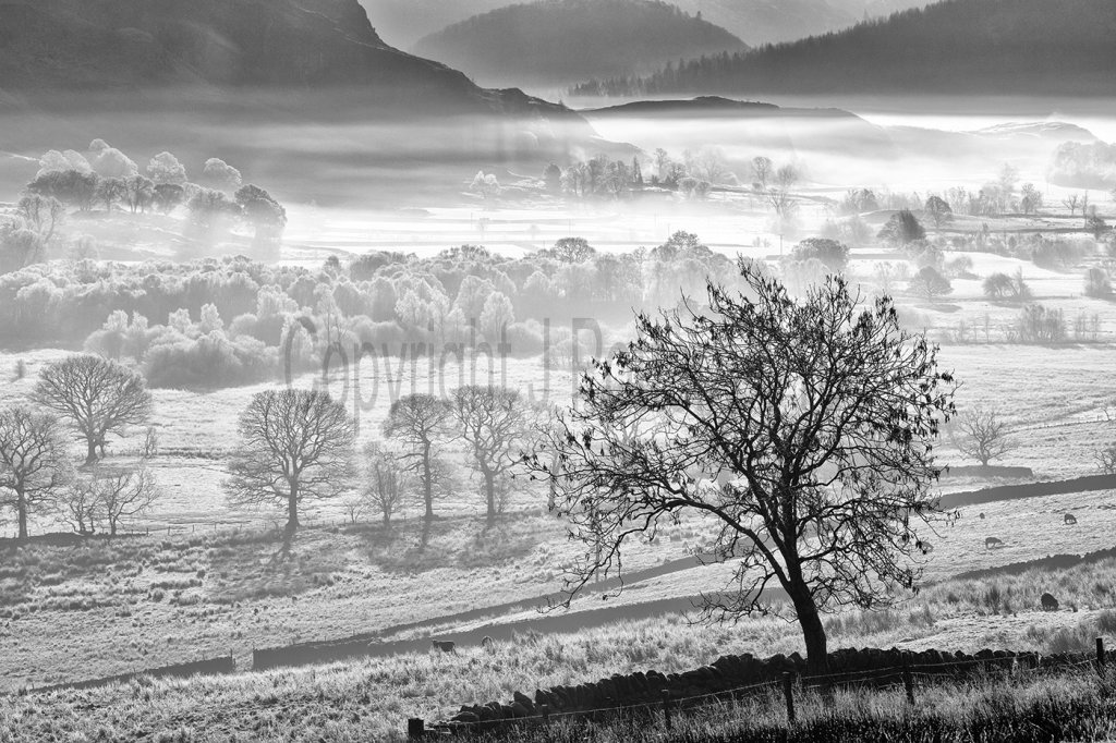 0018 Ephemeral Dawn St John's in The Vale