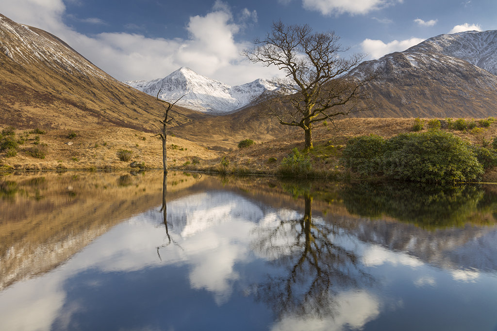 1184 Glen Etive