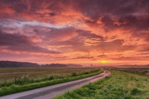 1941 Castle Howard Crimson Daybreak
