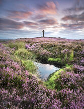 2669 Ana Cross Rosedale