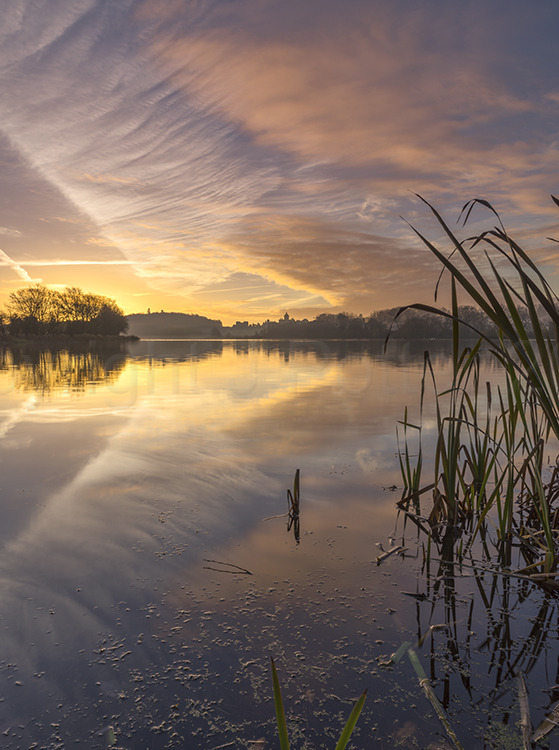 5260 Daybreak Castle Howard