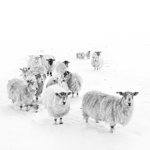 5759b Watching You Watching Me!