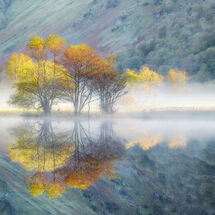 6031 Brothers Water Reflections