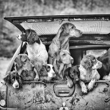 6829 On The Lookout!