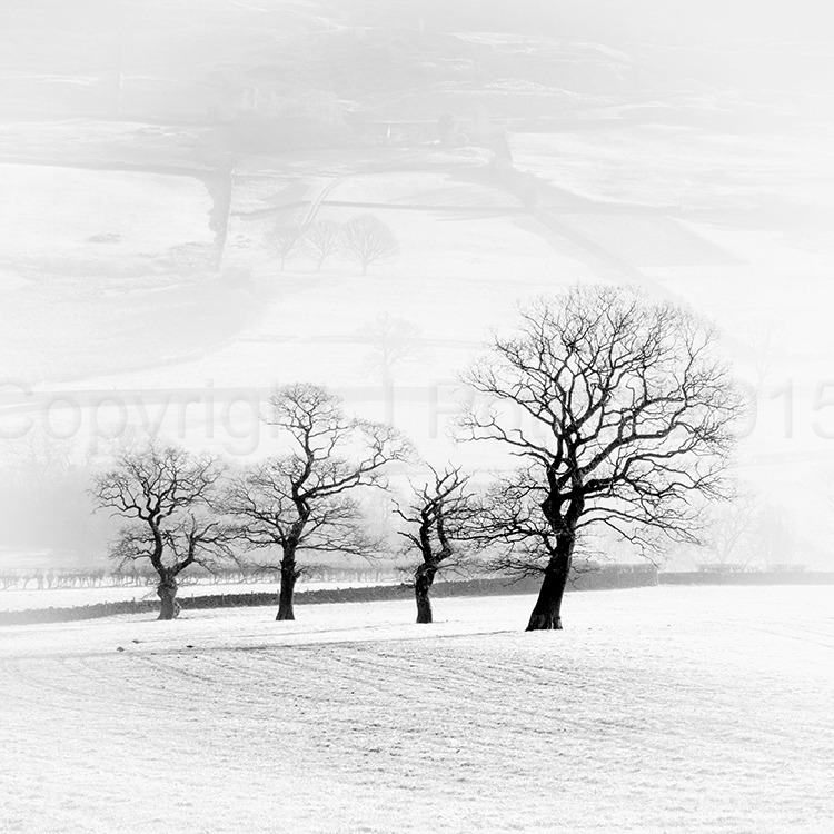 7599 Farndale
