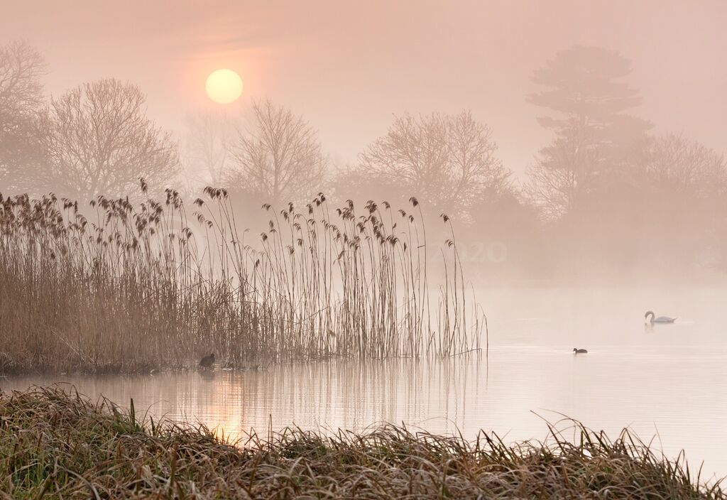 JPP 7649a Castle Howard Dawn A3 print