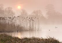 JPP 7649a Castle Howard Dawn A3 print