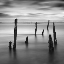 8837 LE Timeless Tides