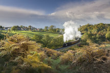 9281 Darnholme Steam Loco