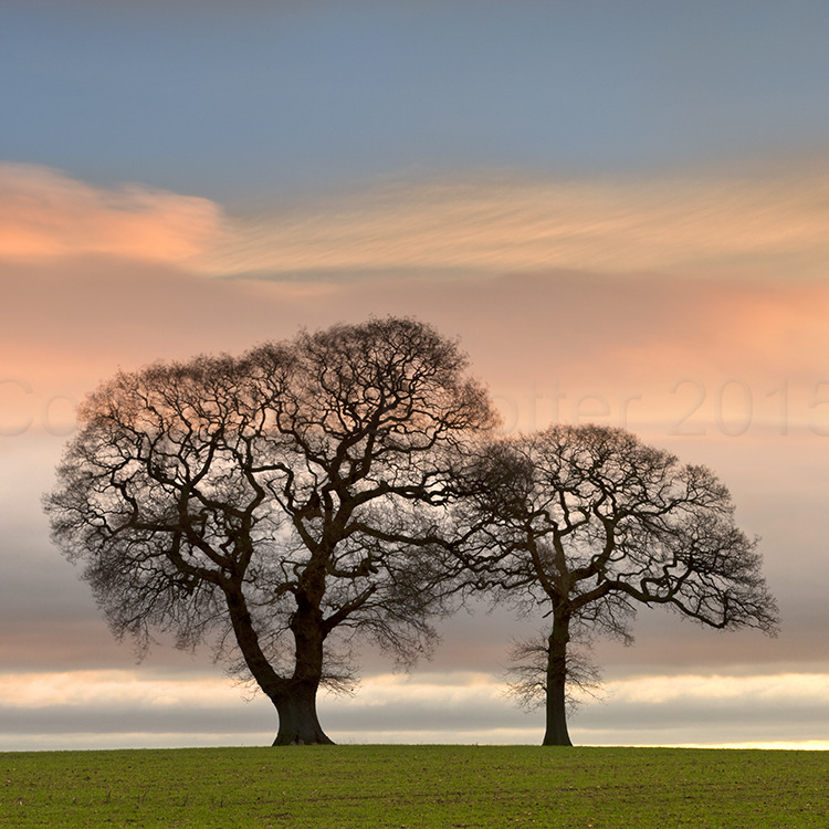 9931 Askham Bryan Daybreak