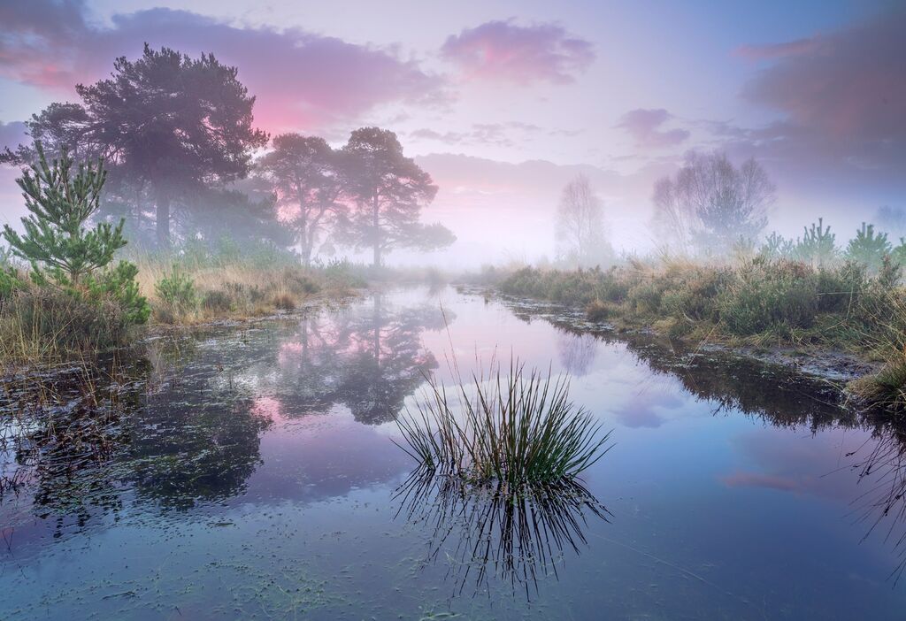 JPP101 Strensall Common Boxing Day 2024