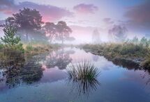 JPP101 Strensall Common Boxing Day 2024