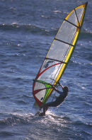 windsurfer