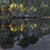 Autumn reflections