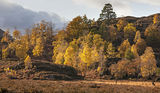 Highland glen - autumn