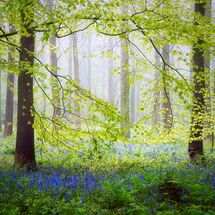 130 Hovingham North Yorkshire