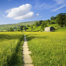 159 Muker Meadows Swaledale