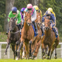 174 A day at the races