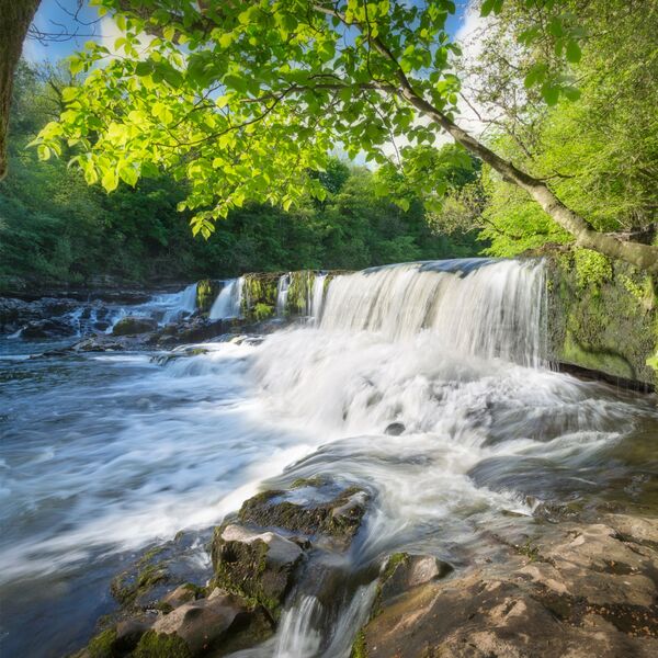 23 Aysgarth Falls Wensleydale