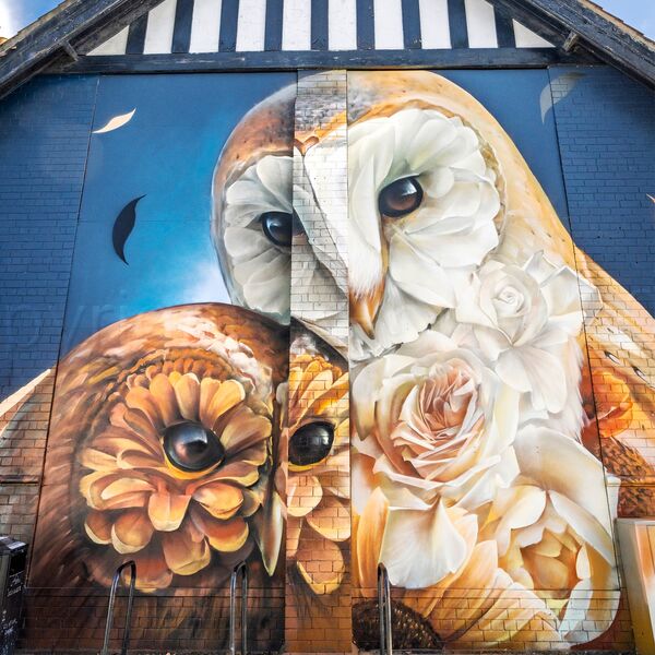 28 Acomb Fest, York 2026