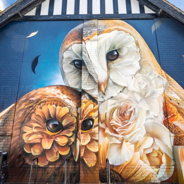 28 Acomb Fest, York 2026