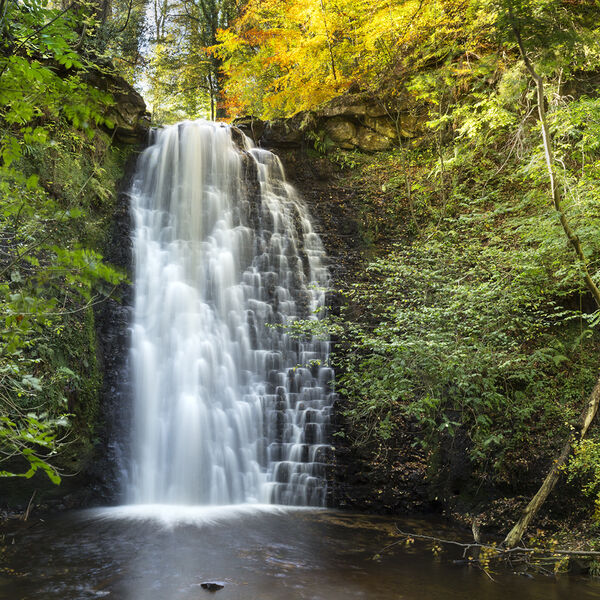5 Falling Foss Waterfall and Midge Hall
