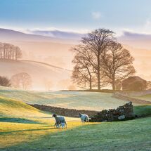 66 Misty morning Hawes Wensleydale