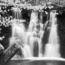 75 Goit Stock Waterfall