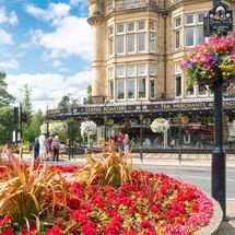 86 Harrogate in Bloom & Betty's Cafe Tea Rooms
