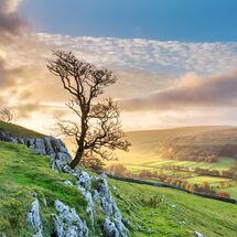 87 Seasons in The Yorkshire Dales