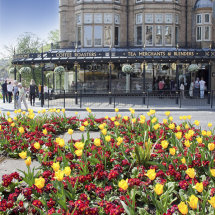 93 Harrogate Floral Displays & Betty's Cafe Tea Rooms