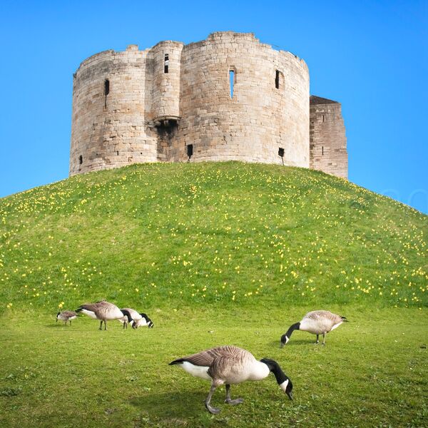 91 Cliffords Tower York