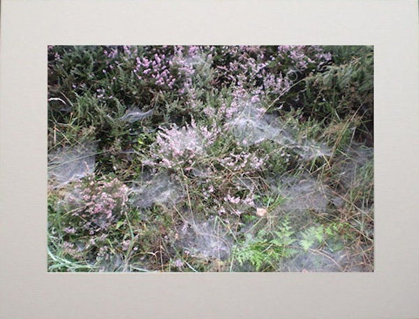Fairyland.