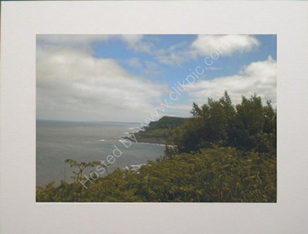Hayburn Wyke near Scarborough.