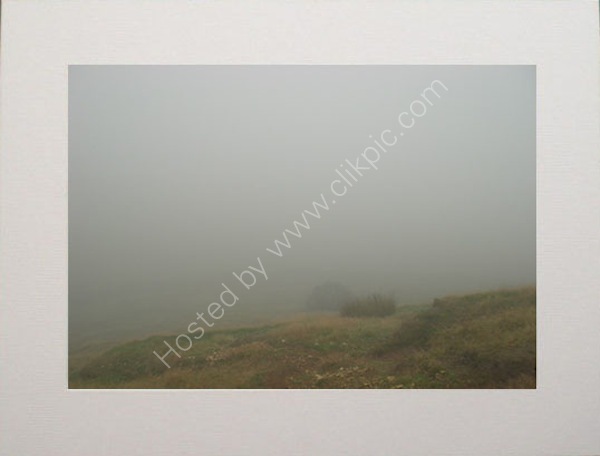Into the Mist.